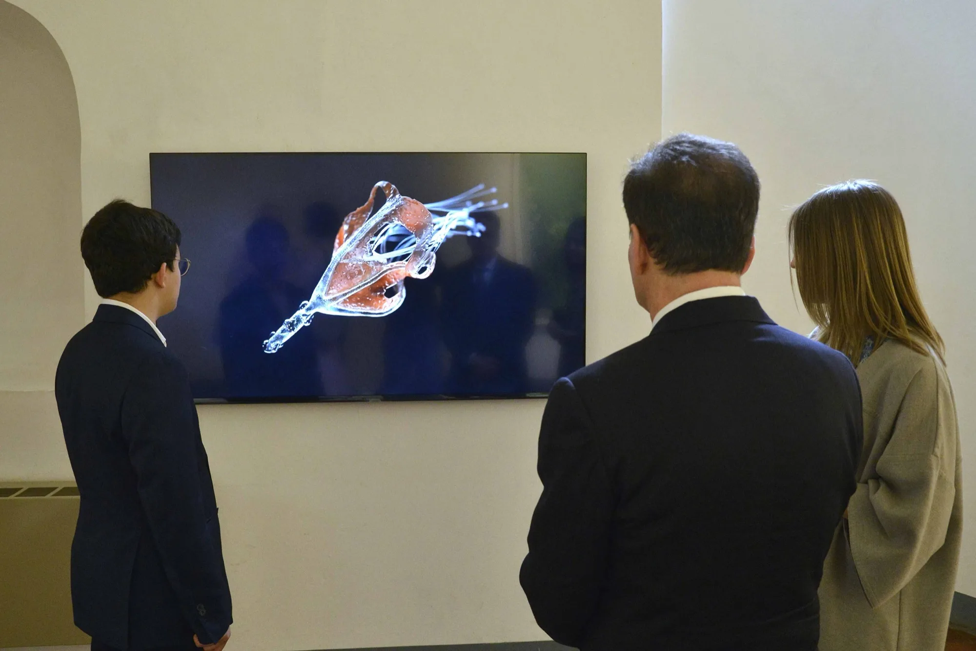Three visitors seen from behind in front of a screen displaying a digital artwork, in an exhibition room